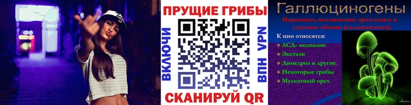 Галлюциногенные грибы Psilocybine cubensis  купить   Новое Девяткино 